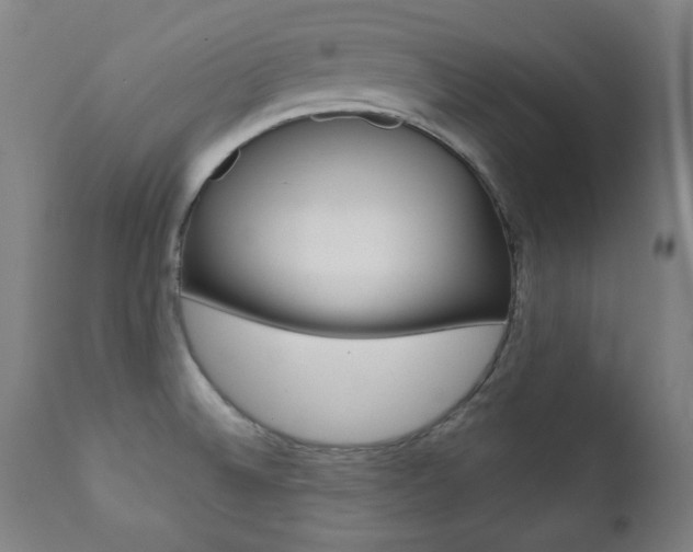 X0000111381524200907100925