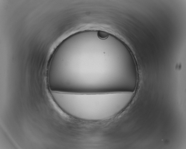 X0000111381525200907100925
