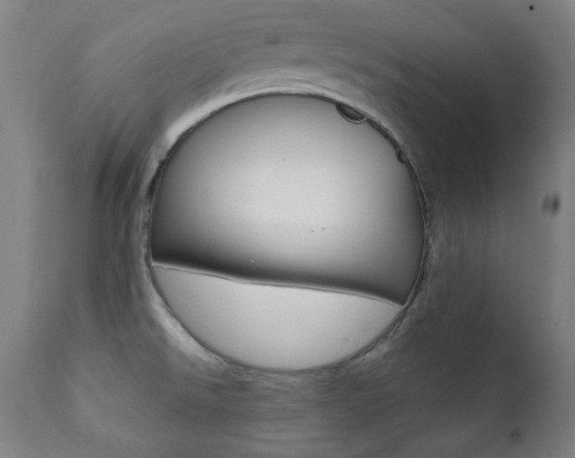 X0000111381526200907100925