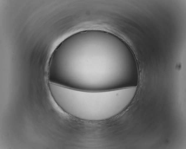 X0000111381528200907100925