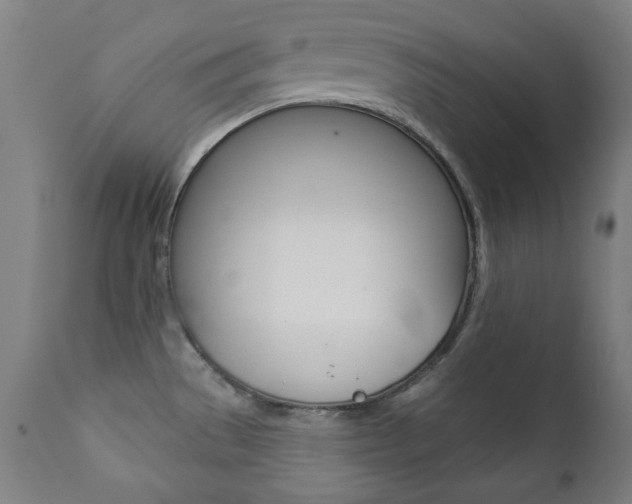 X0000111381529200907100925