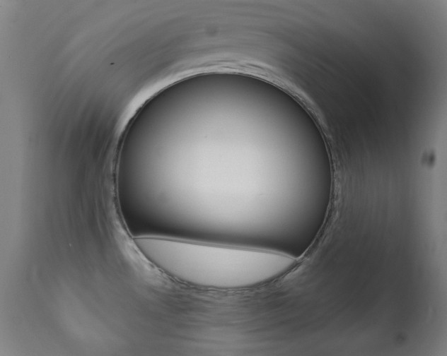 X0000111381530200907100925