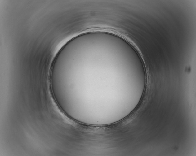 X0000111381533200907100926