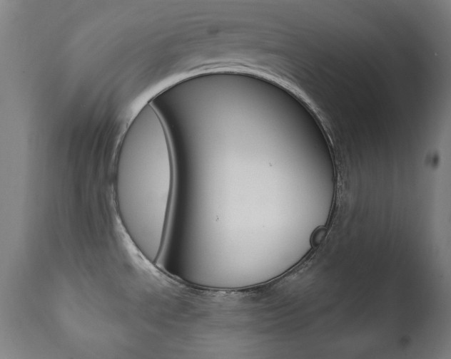 X0000111381534200907100926