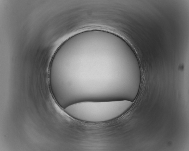 X0000111381535200907100926