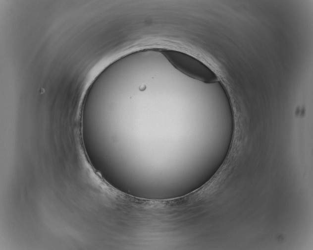 X0000111381536200907100926