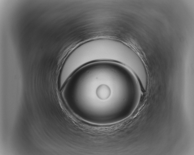 X0000111380001200907101135