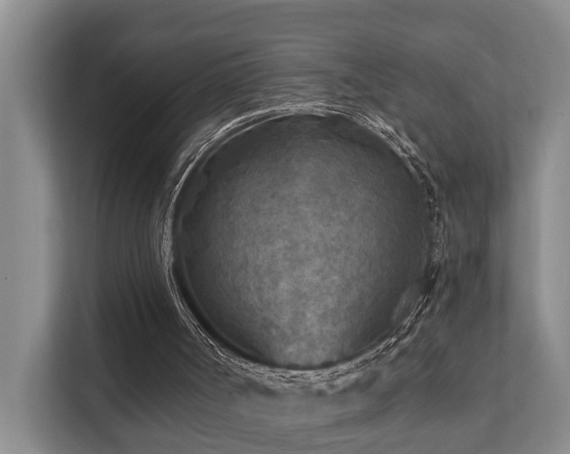 X0000111380002200907101135