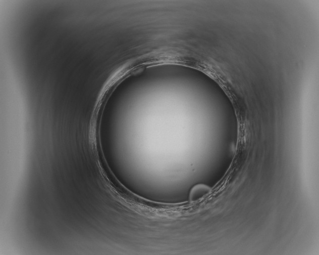 X0000111380004200907101135