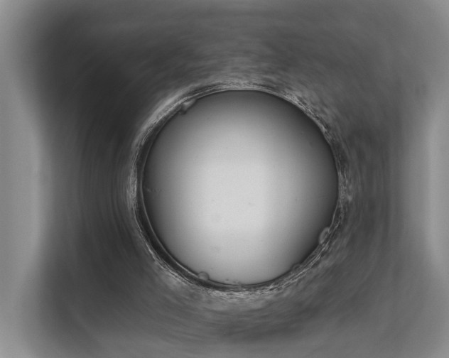 X0000111380005200907101135