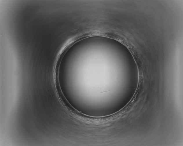 X0000111380006200907101135