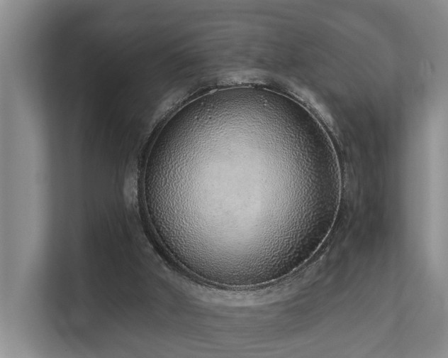 X0000111380010200907101135