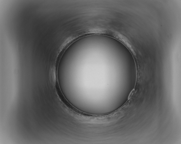 X0000111380011200907101135