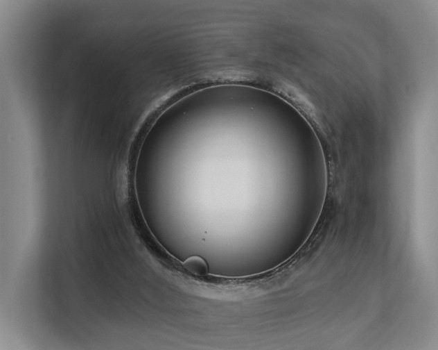 X0000111380012200907101135