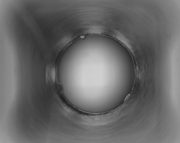X0000111380013200907101135