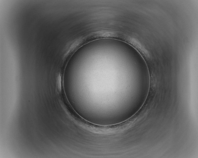 X0000111380014200907101135