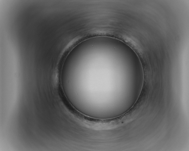 X0000111380016200907101135