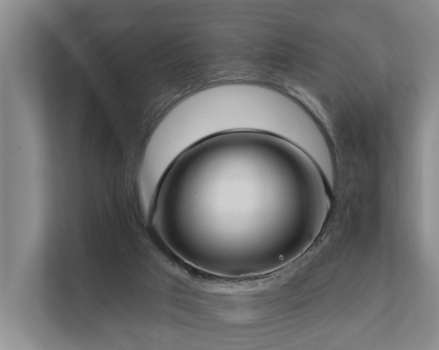 X0000111380017200907101135