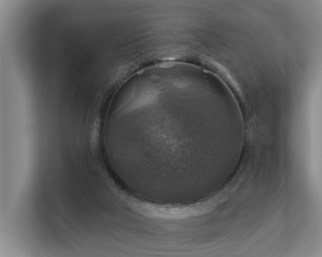 X0000111380018200907101135