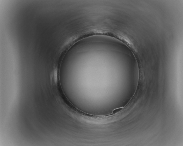 X0000111380019200907101135