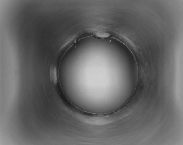 X0000111380020200907101135