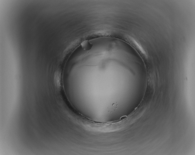 X0000111380023200907101135