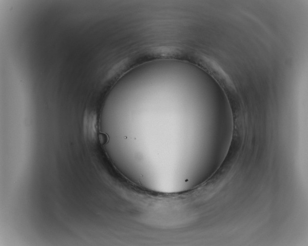 X0000111380024200907101135
