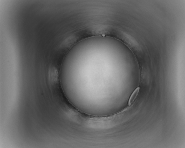 X0000111380025200907101135