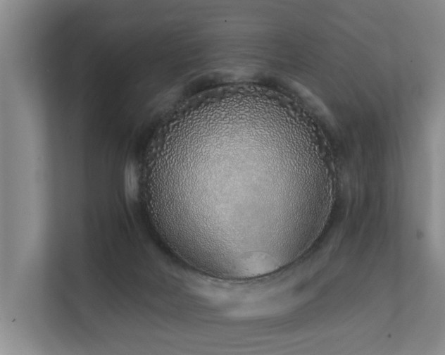 X0000111380026200907101135