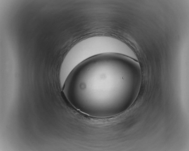 X0000111380029200907101135
