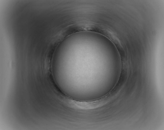 X0000111380030200907101135