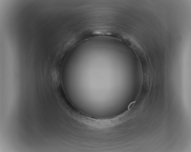 X0000111380031200907101135