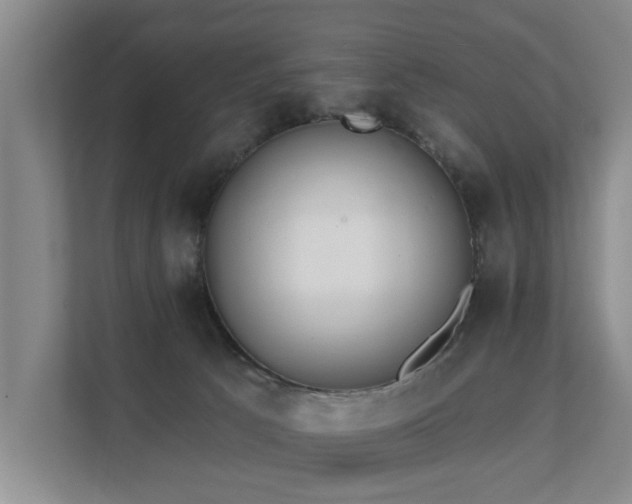 X0000111380033200907101135
