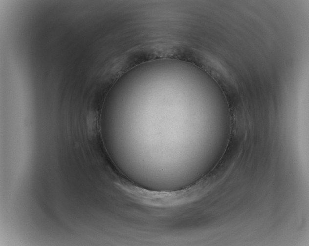 X0000111380034200907101135