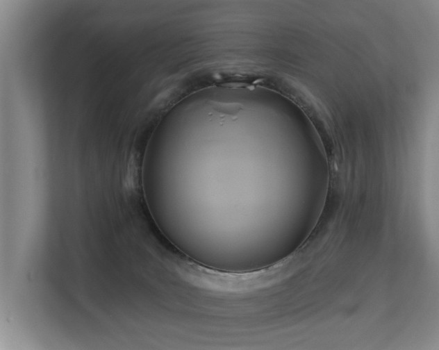 X0000111380035200907101135