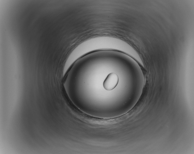 X0000111380036200907101135