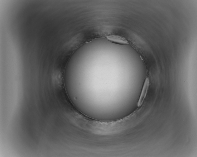 X0000111380037200907101135