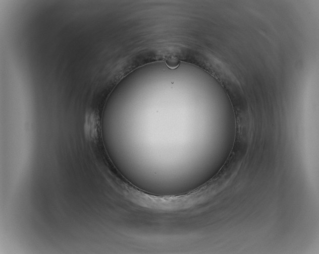 X0000111380038200907101135
