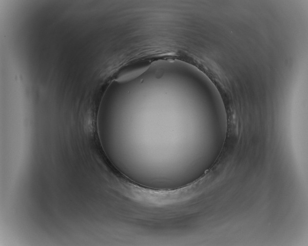 X0000111380039200907101135