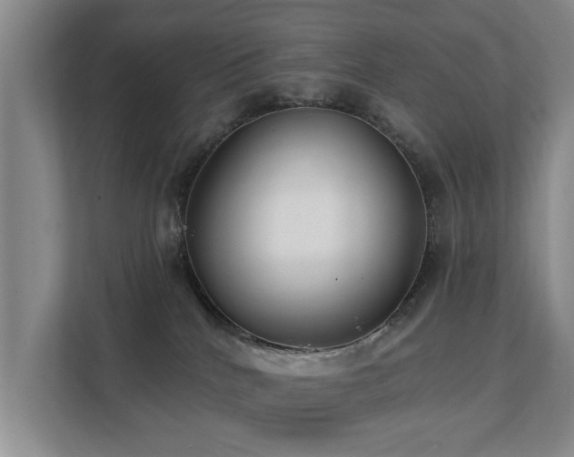 X0000111380040200907101135