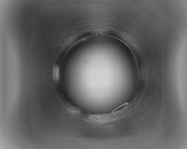 X0000111380041200907101135