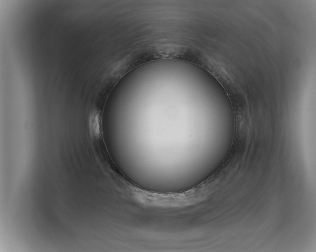 X0000111380042200907101135