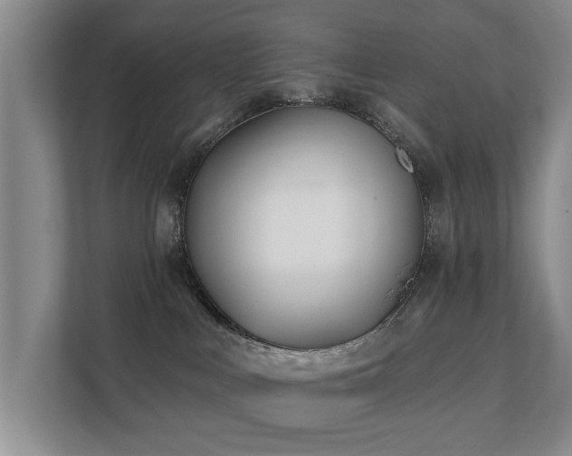 X0000111380043200907101135