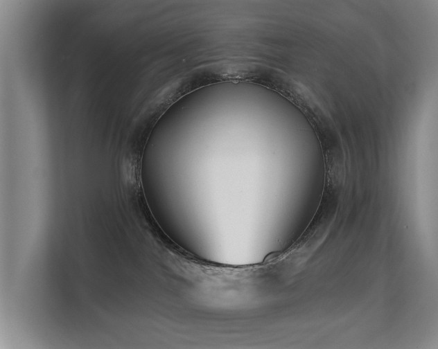 X0000111380044200907101135