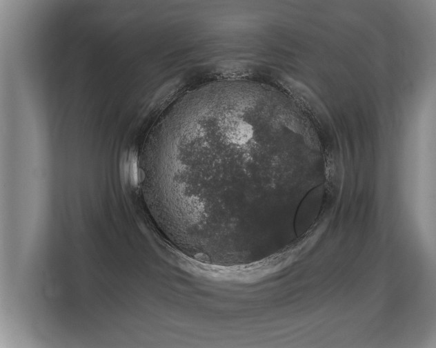 X0000111380046200907101135