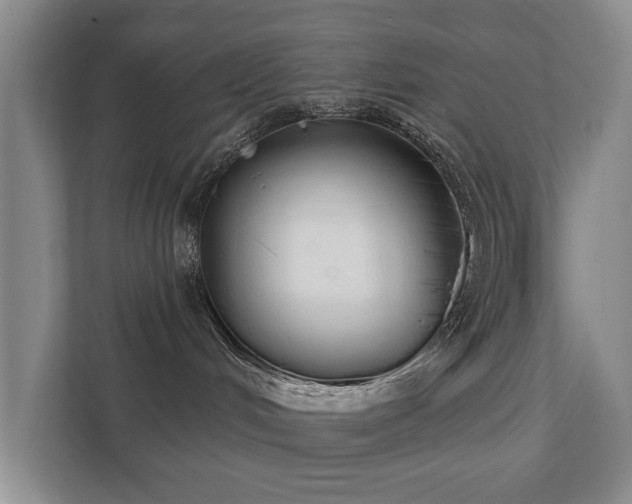 X0000111380048200907101135