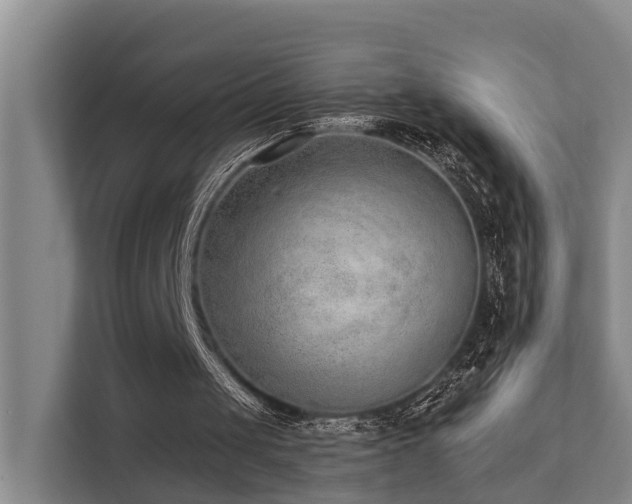 X0000111380049200907101134