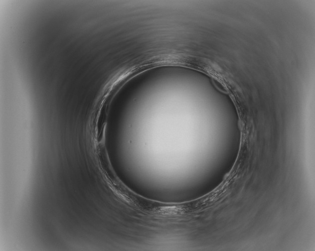X0000111380050200907101134