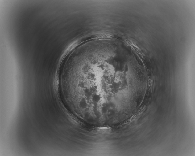 X0000111380053200907101134