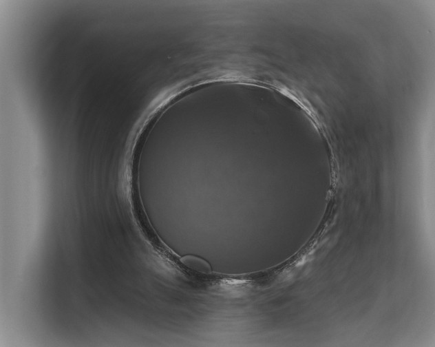 X0000111380055200907101134